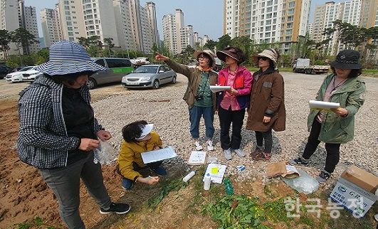 지난 27일 충남 홍성군 홍북면 신경리의 한 필지에서 한살림연합 천안아산생협 조합원들이 GMO 유채 조사활동을 진행하고 있다.