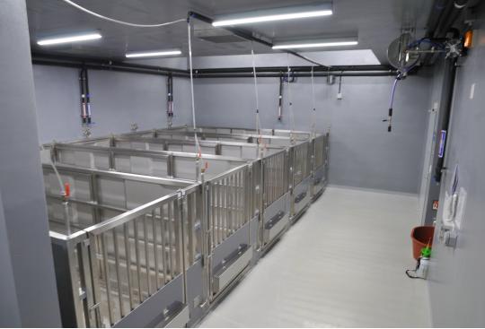 농림축산검역본부 구제역백신연구센터는 국내 최초로 개방형 우리를 사용한 중대동물 전용 생물안전 3등급 실험실을 운영하고 있다. 농림축산검역본부 제공