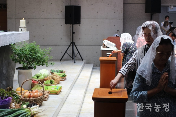 지난 15일 경기도 시흥시 한국천주교 수원교구 목감성당의 제대에 가톨릭농민회원들의 농산물이 바쳐진 가운데 교인들이 농민들을 위해 쓰일 헌금을 봉헌하고 있다.