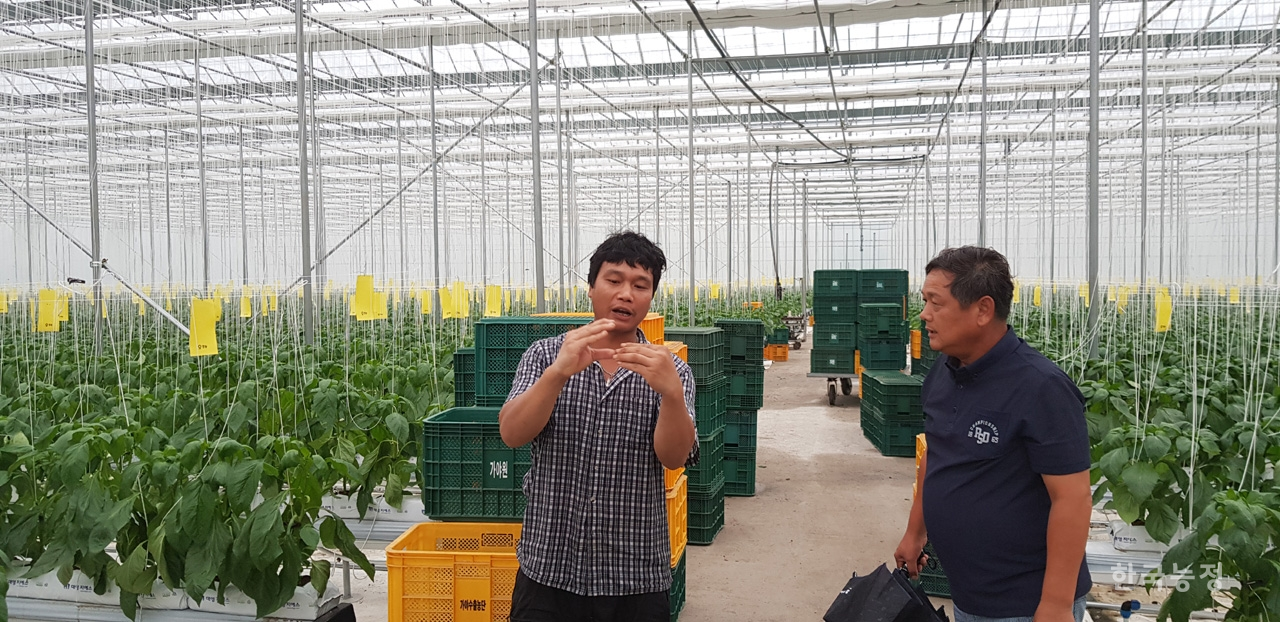 경남 함안에서 파프리카를 재배하는 조근제씨(오른쪽)가 자신의 농장에서 일하는 이주노동자와 재배현황에 대해 이야기하고 있다.