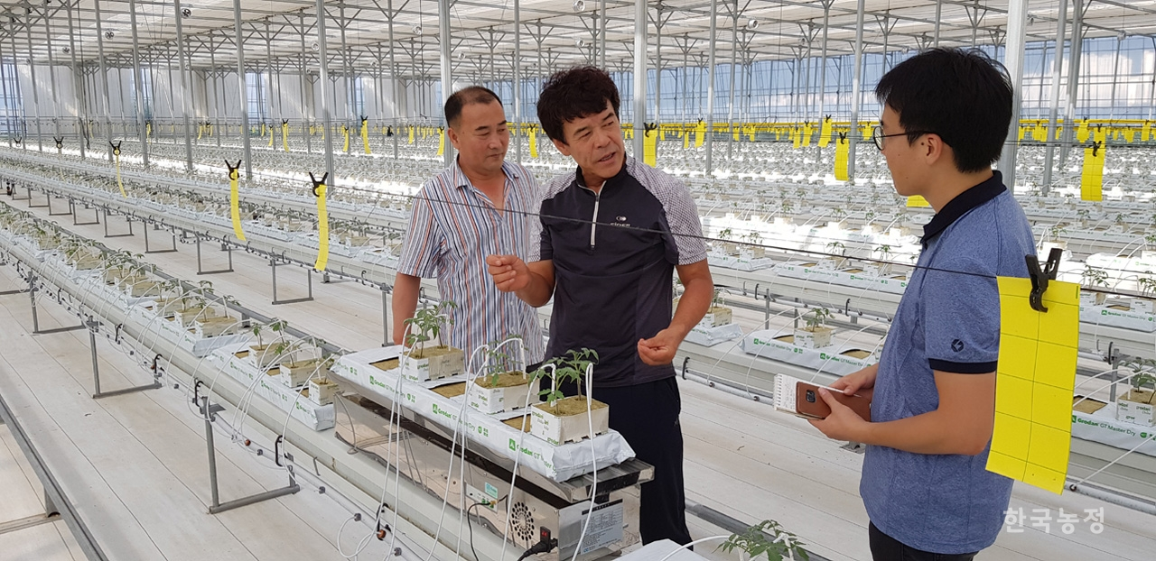 경남 김해에서 토마토 농사를 짓는 주현철씨가 스마트팜 양액재배 시설을 설명하고 있다.