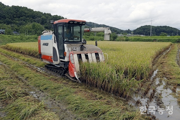 지난달 28일 전북 남원시 보절면의 들녘에서 한 농민이 콤바인을 이용해 조생벼를 수확하고 있다. 전북의 쌀 재배농가가 쓴 가계부에 따르면 올해 쌀 1가마 생산비는 24만3,814원에 이르는 것으로 나타났다.    한승호 기자