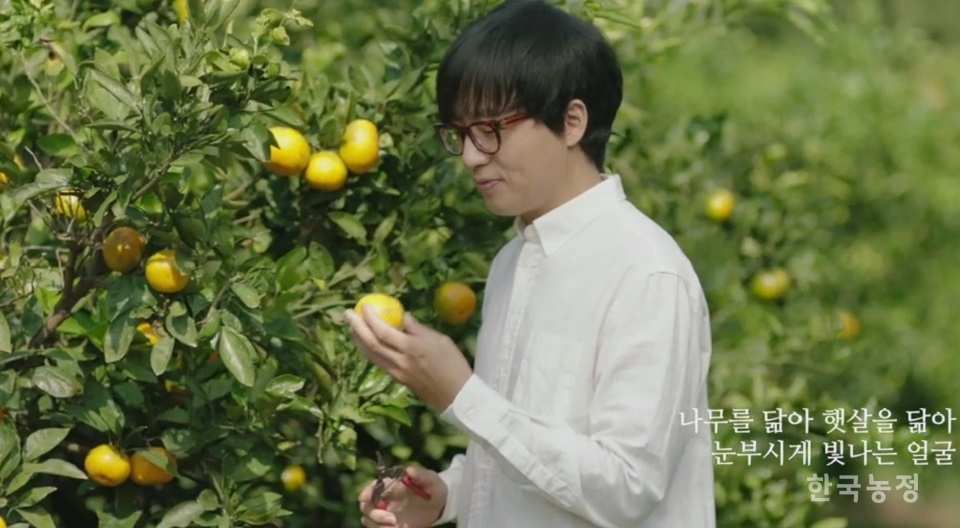 가수 루시드폴(본명 조윤석)이 한국친환경농업협회와 함께 만든 ‘별의 노래' 뮤직비디오 중 한 장면. 루시드폴은 제주도에서 무농약 감귤농사를 짓는 친환경농민이기도 하다.