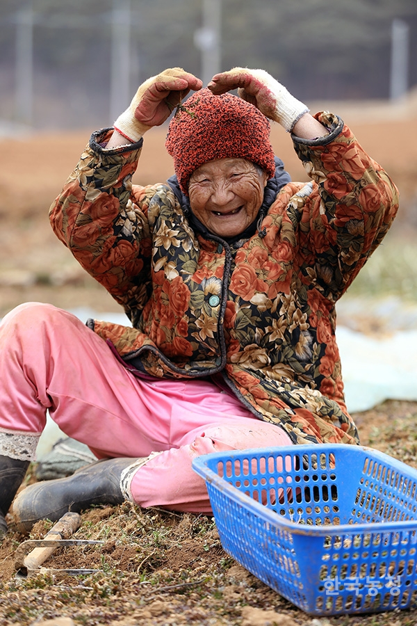 15일 오전 충남 태안군 안면읍 창기리의 한 들녘에서 김모(83) 할머니가 냉이를 캐던 중 밝게 웃고 있다. 전국을 답답하게 만든 미세먼지에도 불구하고 냉이 수확에 나선 김 할머니는 “(태안 냉이가) 바닷바람을 맞고 자라서 맛과 향이 좋다”고 추켜세웠다.