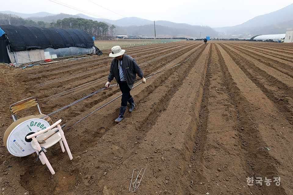 꽃샘추위가 찾아온 지난 12일 충남 아산시 배방읍 회룡리의 한 들녘에서 농민들이 콩을 심기 전 물을 주기 위한 관수자재를 설치하는 작업을 하고 있다. 