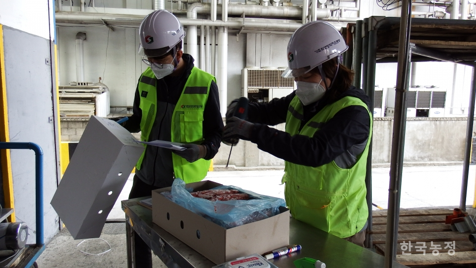 가축위생방역지원본부 부산검역사무소 관리수의사들이 독일산 돼지목뼈 현물검사를 진행하고 있다.
