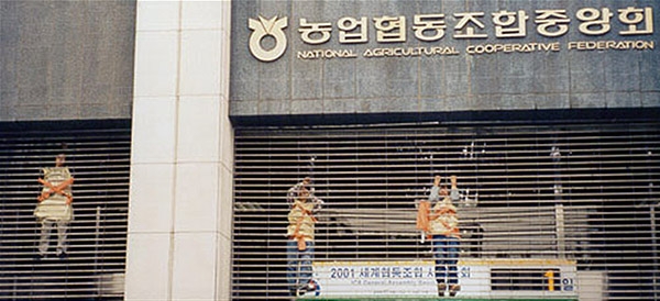2001년 10월 농협의 반농민적 행태에 대한 사과와 쌀 대책을 촉구하며 농협중앙회에서 농성중인 여성농민들.