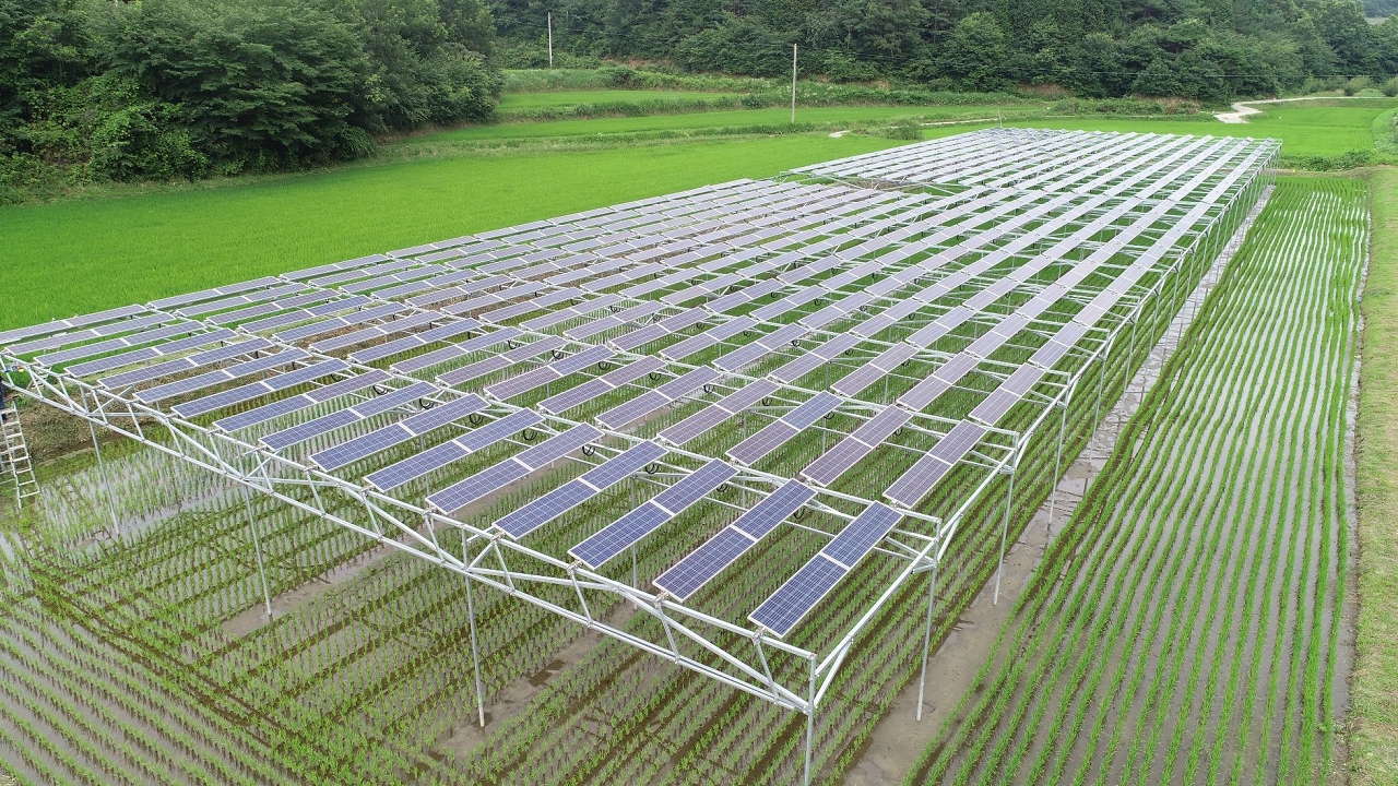 전남 보성의 99kW급 영농형태양광 발전소. 한국영농형태양광협회 제공