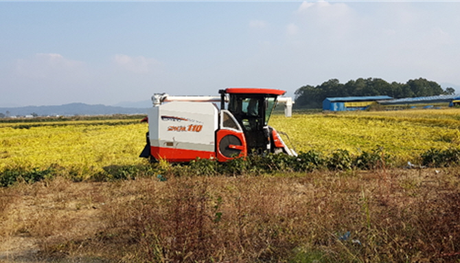 샘골농협은 콤바인을 이용해 농민조합원의 벼를 수확하는 농작업대행사업을 진행하고 있다. 샘골농협 제공