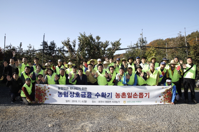 지난 4일 경기도 포천시 영중면에서 소성모 농협 상호금융 대표이사를 포함한 임직원 40명이 농촌 일손돕기로 사과를 수확한 후 기념촬영을 하고 있다.