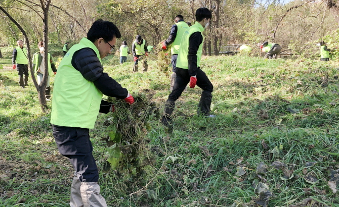 지난 8일 농협 하나로유통 임직원들이 여의도 샛강생태공원에서 환경정화활동을 실시하고 있다.