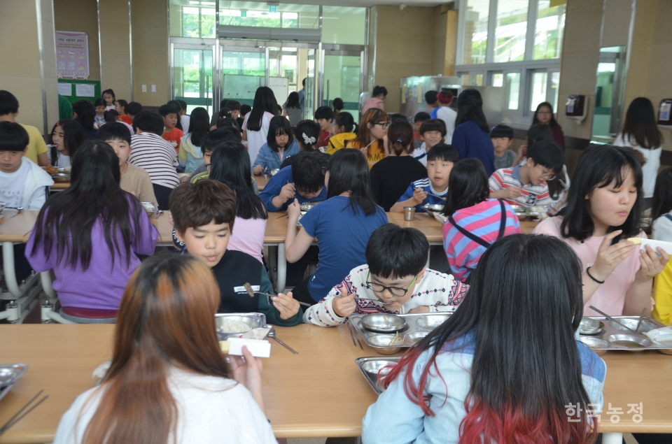 충남 아산의 한 초등학교에서 학생들이 친환경농산물로 요리한 점심을 먹고 있다. 강선일 기자