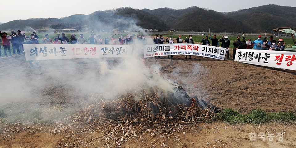 지난 7일 경북 의성군 가음면 귀천리의 한 갈아엎은 마늘밭에서 농민들이 의성마늘 가격폭락 대책마련 촉구 기자회견을 열고 있다. 한승호 기자