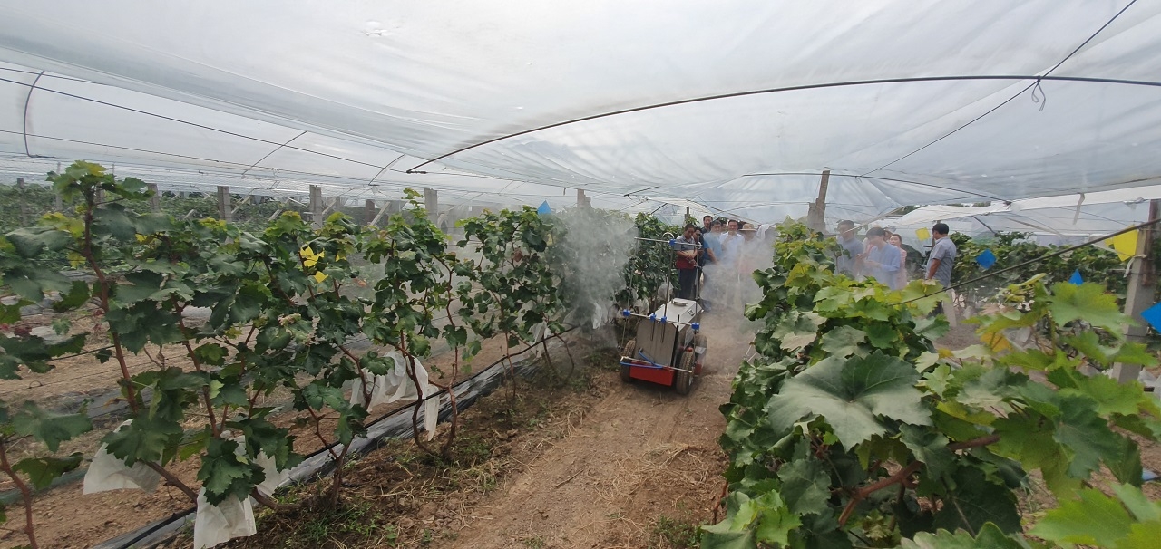 지난해 중국 현지에서 국내 농산업체의 무인로봇방제기를 시연하는 모습. 농업기술실용화재단 제공