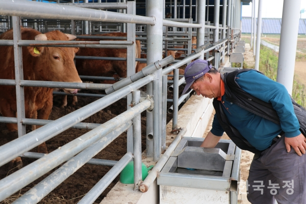 관지미에 소를 키우러 들어온 한근석씨가 소들에게 자동으로 물을 먹일 수 있는 급수장치를 설명하며 살펴보고 있습니다.
