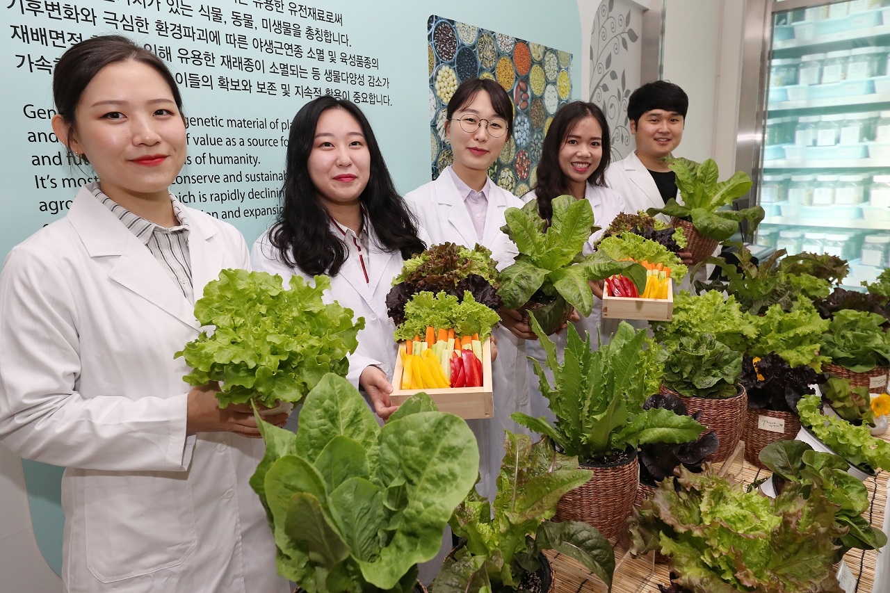 지난 6일 농업유전자원센터에서 상추 유전자원 활용 확대를 위한 현장평가회가 개최됐다. 농촌진흥청 제공