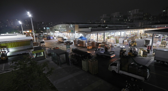 지난 15일 밤 서울 강서구 외발산동 강서농산물도매시장이 환하게 불을 밝히고 있는 가운데 시장도매인들이 분주하게 움직이고 있다. 한승호 기자