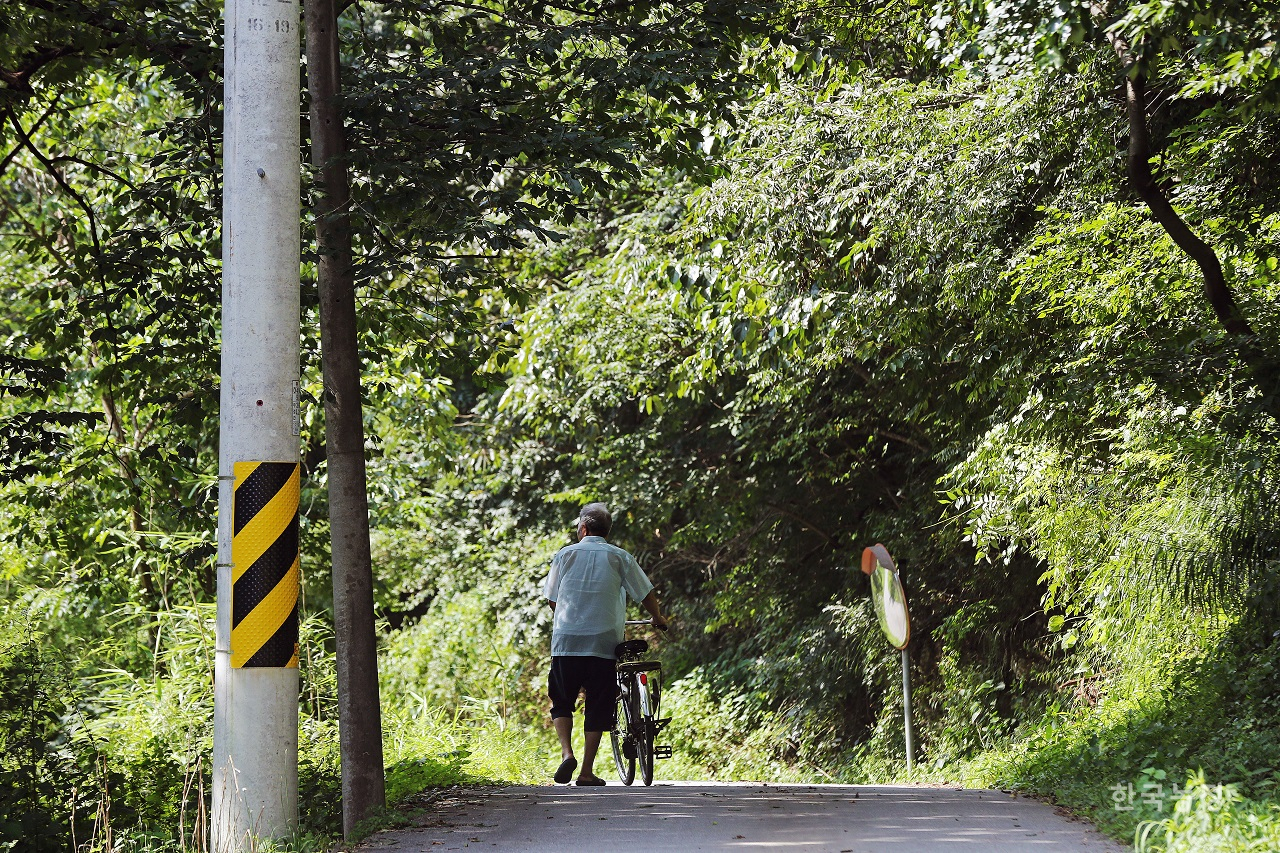 장마가 끝나고 늦더위가 기승을 부린 지난 18일 전남 담양군 대덕면 운산리의 시골길에서 한 노인이 자전거를 끌고 걸어가고 있다. 한승호 기자