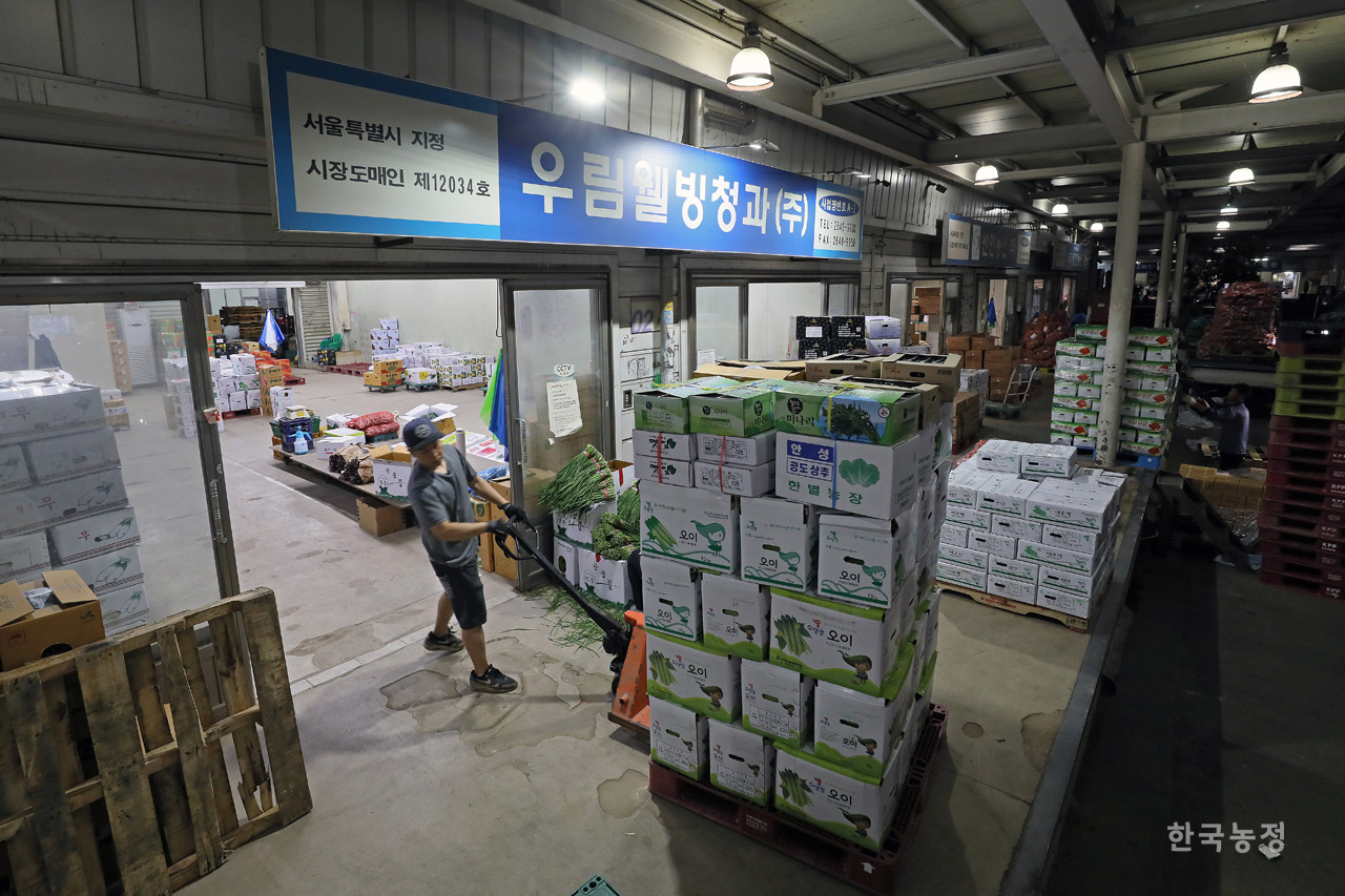 지난 6월 중순 서울시 강서구 외발산동 강서농산물도매시장에서 한 시장도매인 직원들이 각 마트로 발송될 농산물들을 옮기고 있다. 한승호 기자