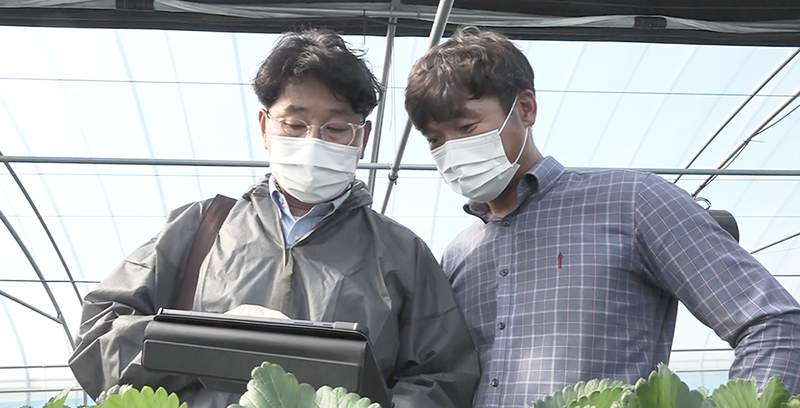 농식품부 장관상을 수상한 팜한농의 디지털파밍 컨설팅 현장 모습. 팜한농 제공