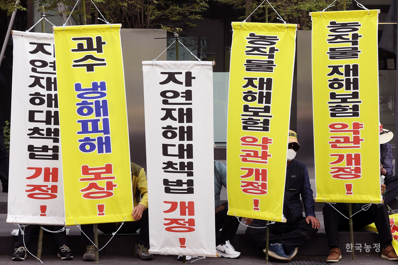 농림축산식품부와 NH농협손보가 내놓은 농작물 재해보험 개선안이 실제로는 피해 농민보다 보험 운영사 편만 드는 개악안이라는 비판이 일고 있다. 지난해 5월 서울 여의도 국회 앞에서 열린 ‘농산물 가격 보장 제도 마련! 냉해 보상! 코로나19 대책 마련! 전국농민대회’에 참석한 전남 영암지역 농민들이 과수 냉해 보상 및 농작물 재해보험 약관 개정 등을 요구하는 깃발을 들고 있다. 한승호 기자