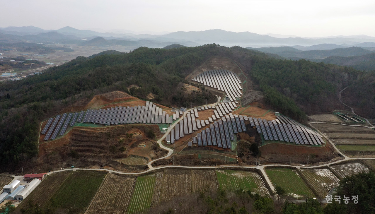 전남 장흥군 장평면 봉림리의 한 야산에 태양광 패널이 설치돼 있다.