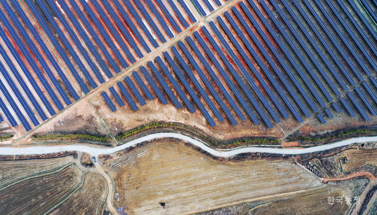 전북 익산시 금마면의 한 태양광 단지. 농로 하나를 사이에 놓고 농경지와 마주보고 있다.