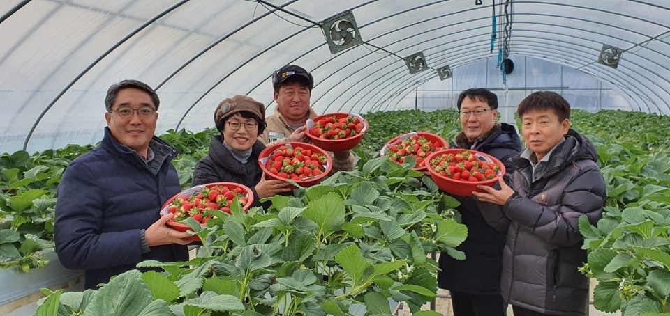 안정숙 조합장이 지역 특산품인 딸기를 고설재배하는 현장에서 조합원들과 함께 사진을 찍고 있다 . 청남농협 제공
