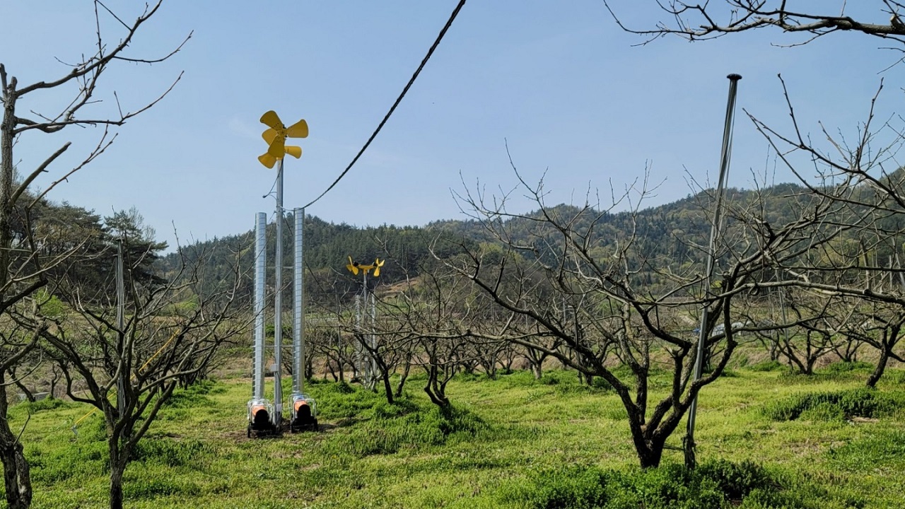 전라남도 영암군 금정면 대봉감 과원에 설치된 열풍방상팬. 정철 영암군 금정면 대봉감 대책위원회 집행위원장 제공