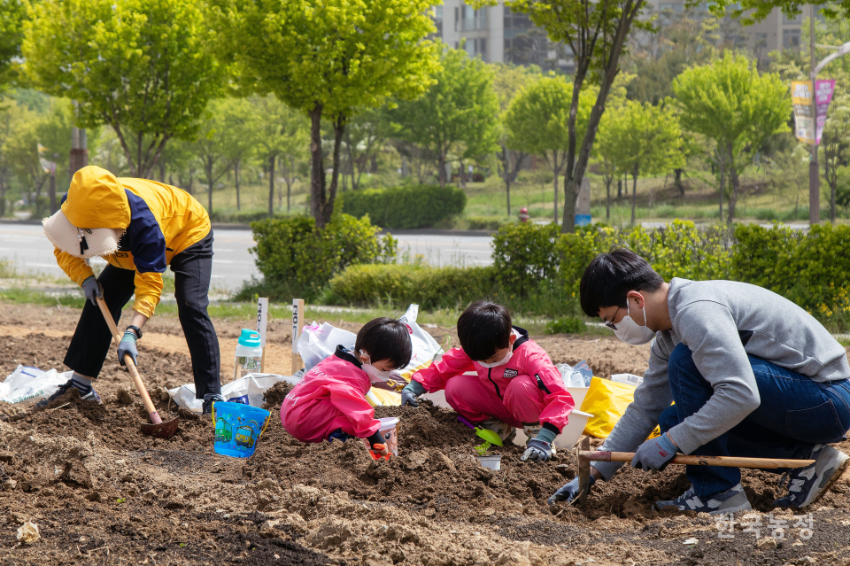 지난 8일 개장한 인천광역시 연수구 소재 ‘이음텃밭’에서 젊은 부부 한 쌍이 아이들과 함께 밭을 가는데 전념하고 있다. 한우준 기자