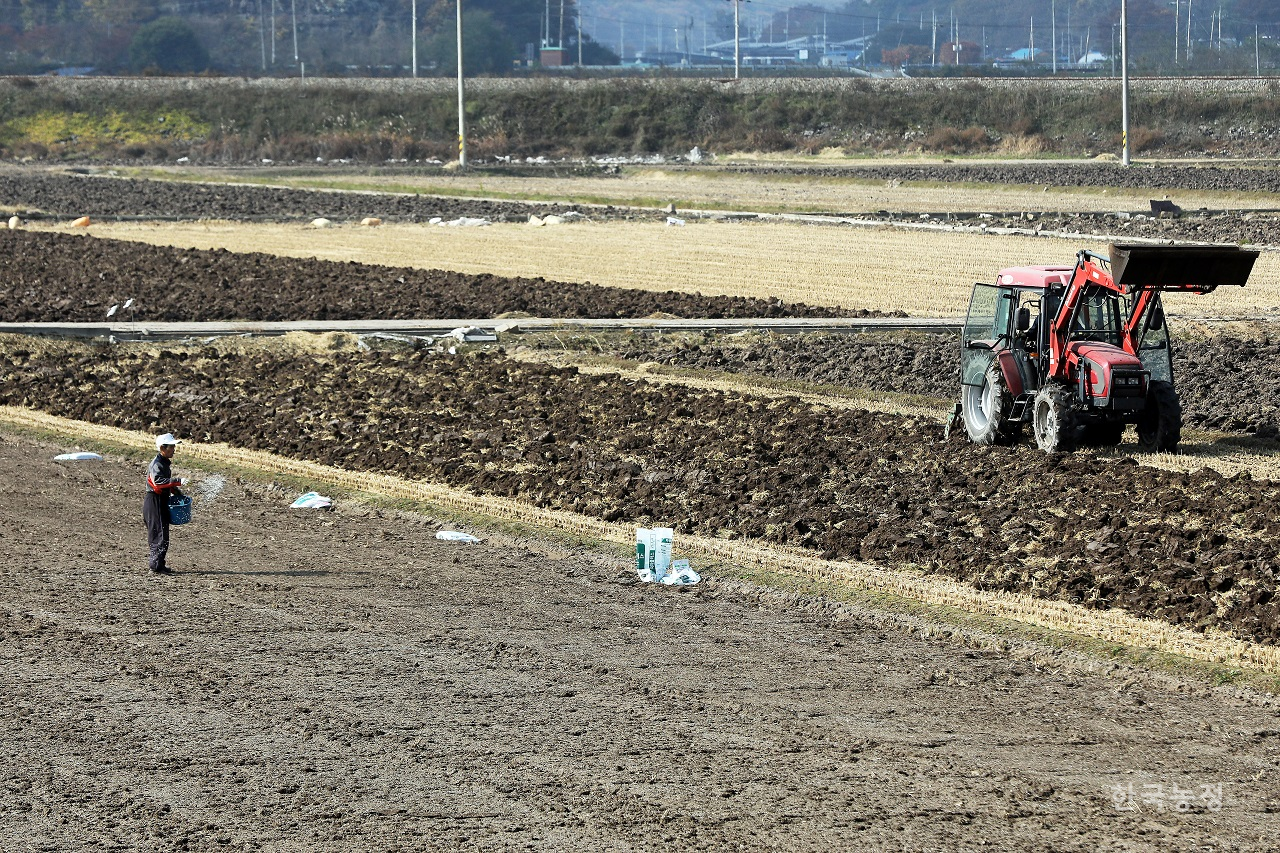 지난 1일 경북 의성 들녘에서 농민들이 비료를 뿌리거나 트랙터로 밭을 갈아엎는 등 마늘 파종 준비로 분주하게 움직이고 있다. 한승호 기자