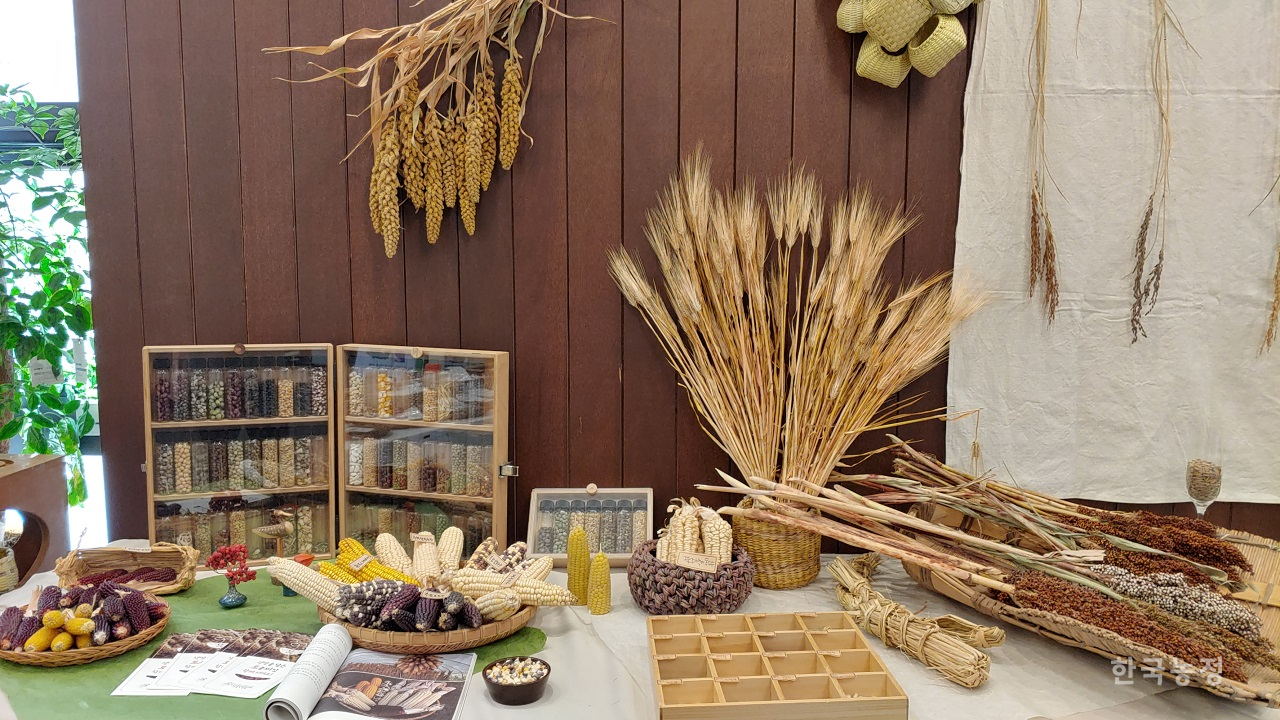 지난달 26일 춘천 커먼즈필드에서 토종씨앗 축제 ‘강원, 토종을 만나다’가 열렸다.