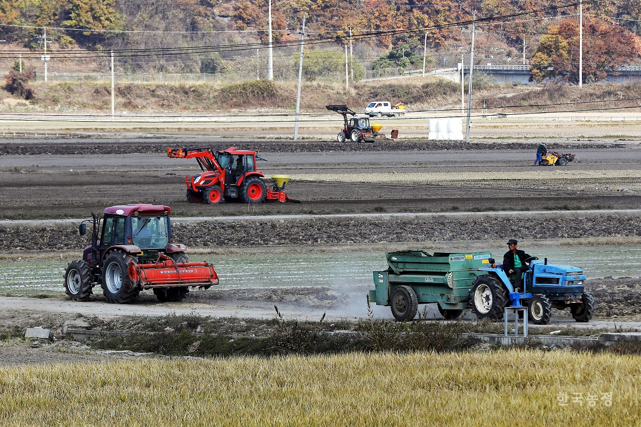 지난해 11월 1일 경북 의성군 단촌면 들녘에서 농민들이 트랙터로 밭을 만들거나 비료를 뿌리는 등 마늘 파종을 위한 준비로 분주하게 움직이고 있다. 한승호 기자