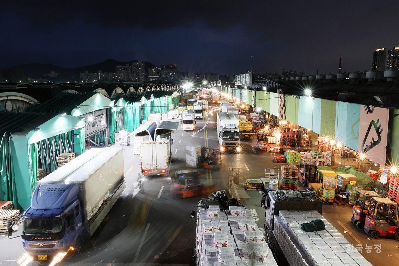 도매법인의 독과점을 깨뜨리고 시장 내 경쟁체제를 구축하자는 도매시장 개혁론이 최근 들어 힘을 받고 있다. 또한, 도매시장 개혁을 방치하고 있는 농림축산식품부에 대한 비판 여론도 거세지고 있다. 서울 가락시장 각 도매법인 경매장 앞에서 농산물 하역작업이 이뤄지고 있다.한승호 기자