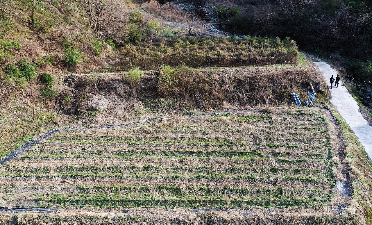 지난 12일 충북의 한 산촌 지역에서 농사짓는 농민과 함께 둘러본 ‘직불신청 불가’ 농지. 수십 년간 농지로 이용했으나 ‘임야’라는 이유로 공익직불금을 받을 수 없었다. 한승호 기자