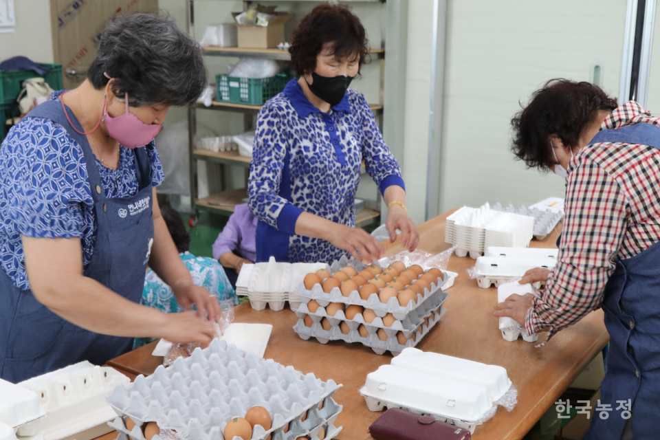 지난달 30일 강다복 언니네텃밭 김제공동체 대표(맨 왼쪽)와 여성농민들이 작업장에서 꾸러미에 들어갈 달걀을 포장하고 있다.