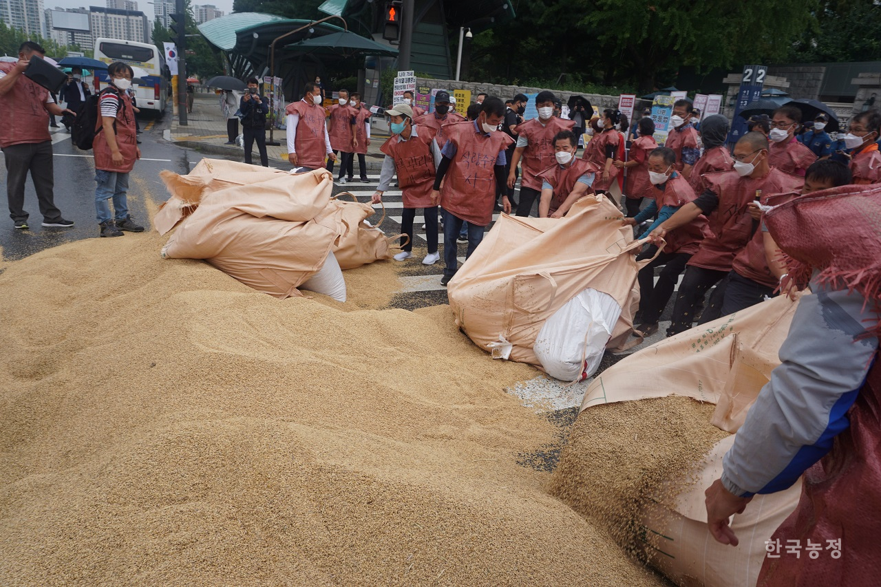 지난 29일 서울 여의도 국회 정문 앞에 모인 전남지역 농민들이 '쌀값 보장', '양곡관리법 개정' 등의 구호를 외치며 톤백에 담긴 나락들을 도로 위에 쏟아붓고 있다.