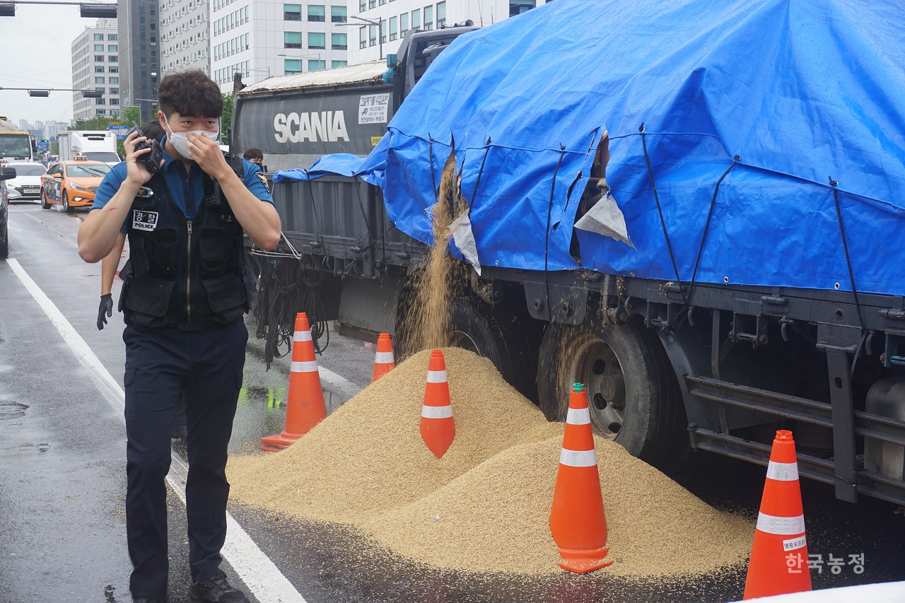 지난 29일 서울 여의도 국회 정문 앞에 당도한 5톤 트럭의 톤백에서 나락들이 쏟아지고 있다.