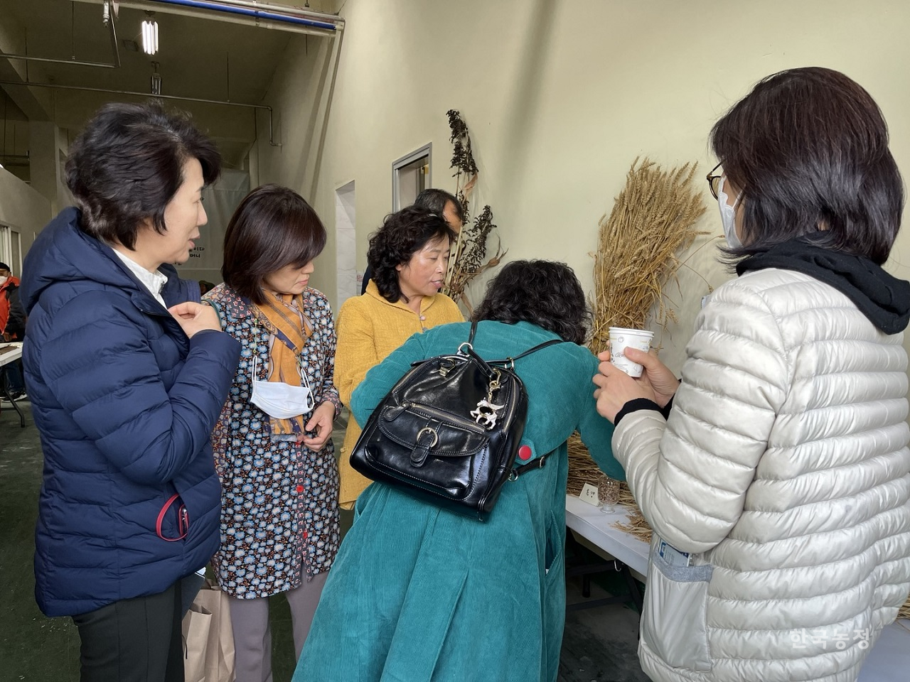 지난달 24일 논산 토종씨앗 한마당을 찾은 사람들이 복도에 전시된 토종종자들을 흥미롭게 관람하고 있다.