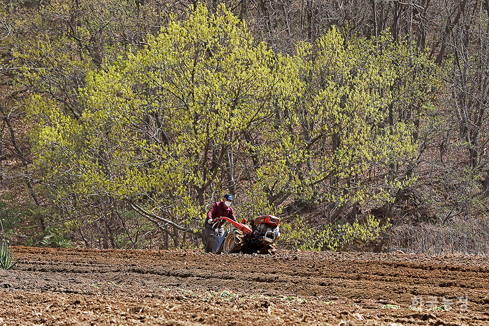 지난 12일 경기 남양주시 조안면 삼봉리 들녘에서 한 농민이 고추 심을 두둑을 만들기 위해 경운기로 밭을 갈고 있다.