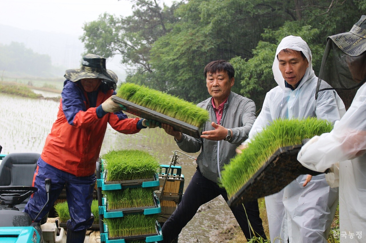 김원배 양성농협 조합장(왼쪽 두번째)과 농민회원들이 이앙기에 모를 싣고 있다.