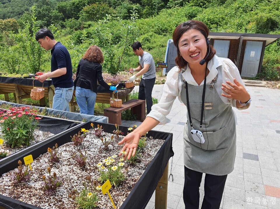  송미나 드림뜰 힐링팜 대표가 화단에 피어 있는 꽃(마가렛)에 대해 설명하고 있다. 