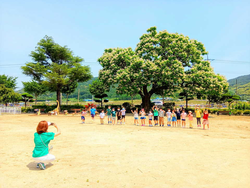 천령유치원 개오동나무를 배경으로 아이들 사진을 찍는 선생님.