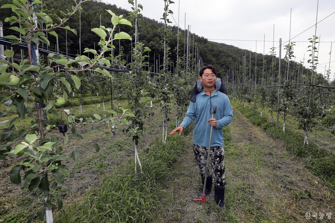 지난 4일 경북 청송의 한 과수원에서 김창용(29)씨가 청년농민으로서 귀농을 준비하며 겪었던 어려움에 대해 이야기하고 있다. 한승호 기자