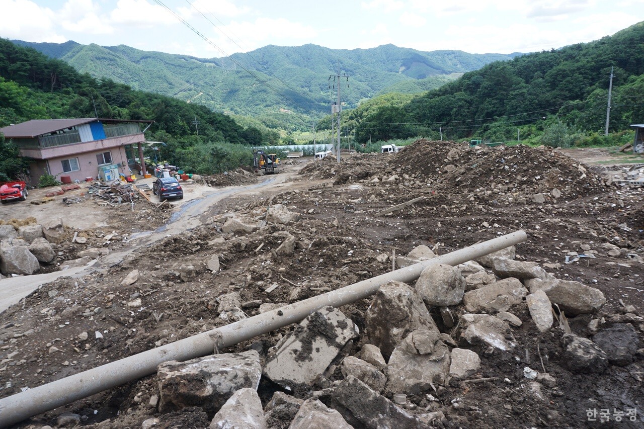 지난 8일 방문한 경북 예천군 효자면 백석리의 수해 피해현장. 전신주가 쓰려져 있는 폐허 위엔 원래 집들이 있었다. 이 마을에선 5명의 사망자가 발생했다.