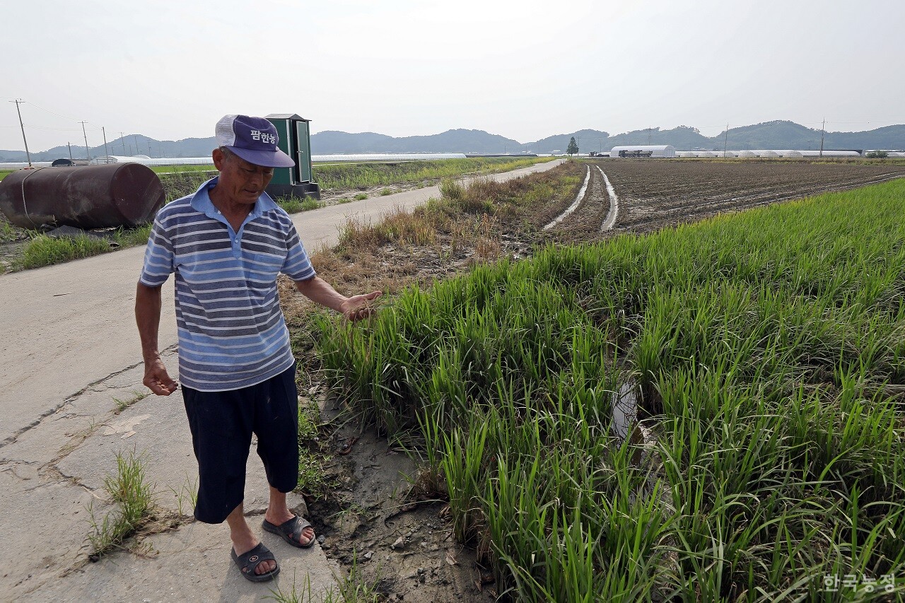 전북 익산시 용안면에서 농사짓는 김연기씨가 지난달 31일 수해로 완전히 침수된 뒤 피해가 발생한 논을 둘러보고 있다. 한승호 기자