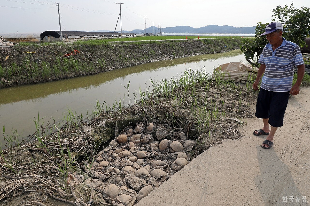 전북 익산시 용안면에서 농사짓는 김연기씨가 지난달 31일 수해 피해로 인해 폐기한 수박을 쌓아둔 구덩이를 바라보고 있다. 한승호 기자