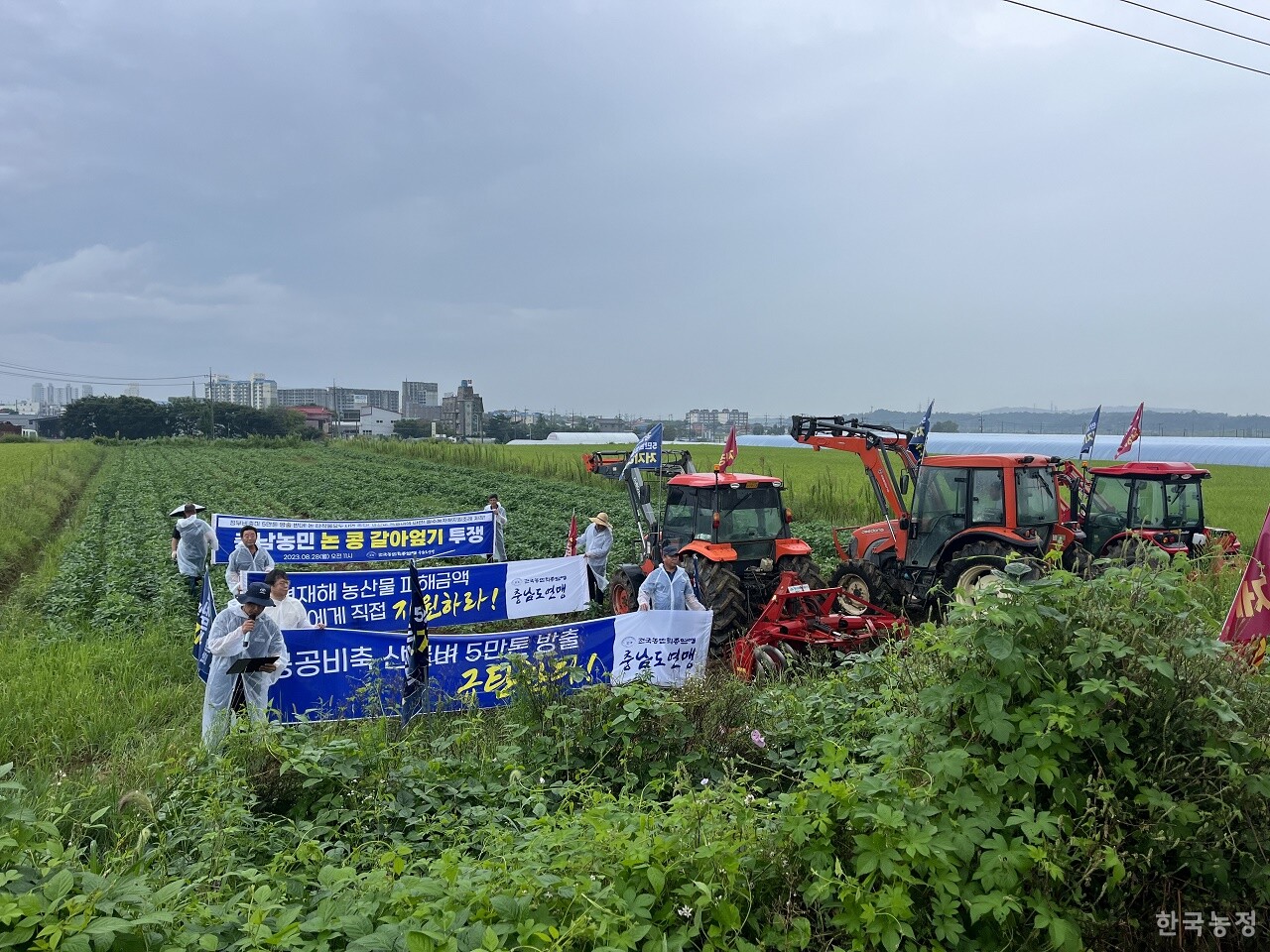충남 농민들이 지난달 28일 예산 궁평리에서 논콩 갈아엎기 투쟁으로 정부의 논 타작물 재배사업을 규탄했다.