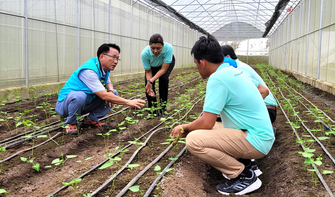 지난 5일 KOPIA 필리핀 채소 시범 마을 시설 인프라 준공식이 개최된 가운데, 필리핀 농민들의 영농기술 향상을 위해 비가림 채소 재배시설에서 농촌진흥청 관계자가 농업기술을 전수하고 있다. 농촌진흥청 제공