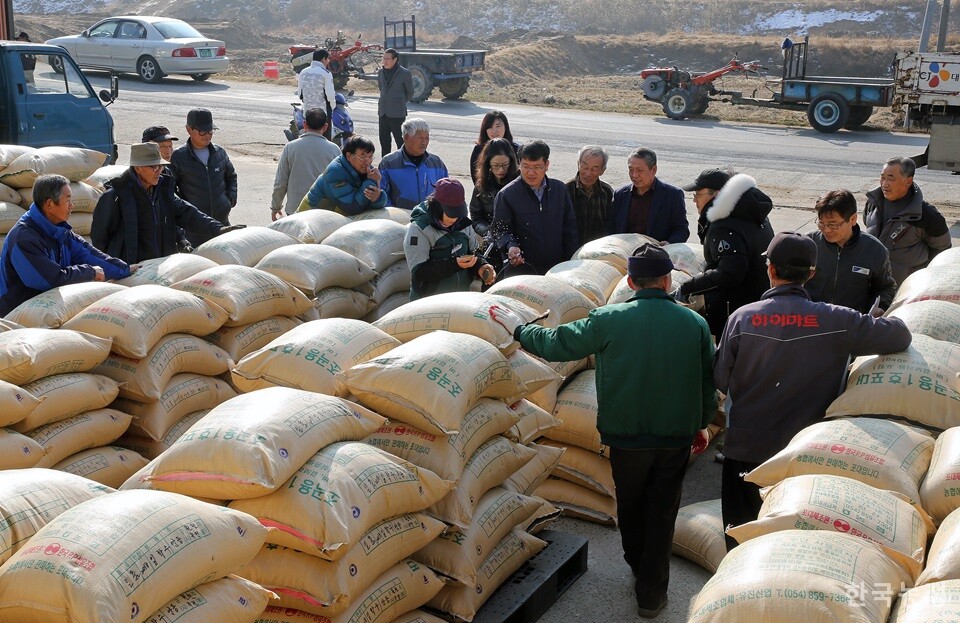 지난달 산지쌀값 20만원선이 무너진 가운데 정부가 쌀값 안정을 위해 민간 보유량 중 5만톤을 식량원조용으로 매입하겠다고 밝혔다. 사진은 공공비축 포대벼 수매 현장 모습. 한승호 기자